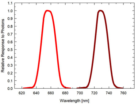图表显示了红色传感器的光谱响应（光谱范围为645至665nm±5nm（红色）和720至740nm±5nm（远红色））。