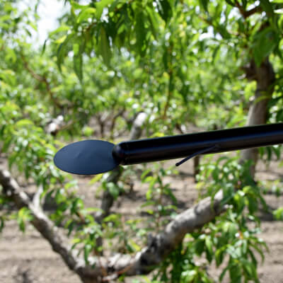 年代F-110 leaf and bud temperature sensors alert growers to potential frost damage to crops.