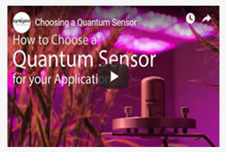 Watch videos to learn more about our original quantum sensors.