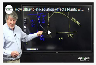观看视频了解更多关于紫外线传感器的信息。
